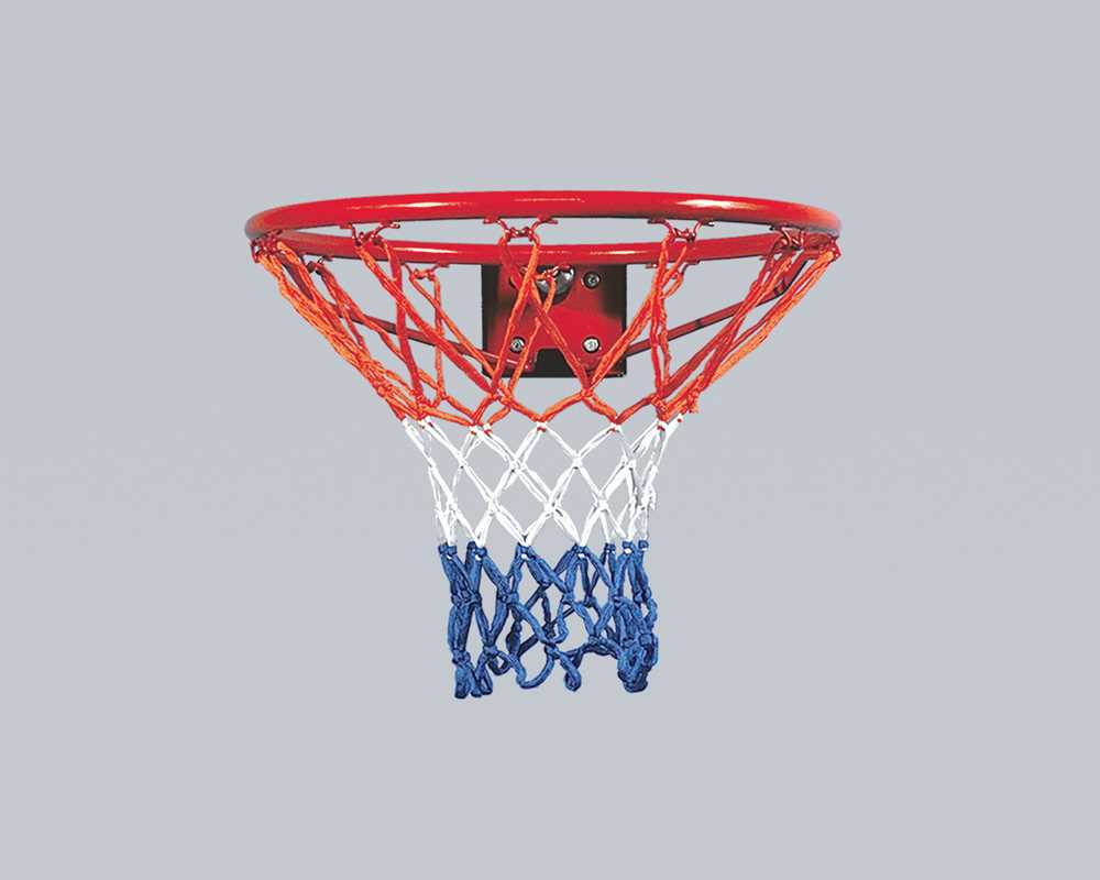 Basketballkorb Hobby Flex