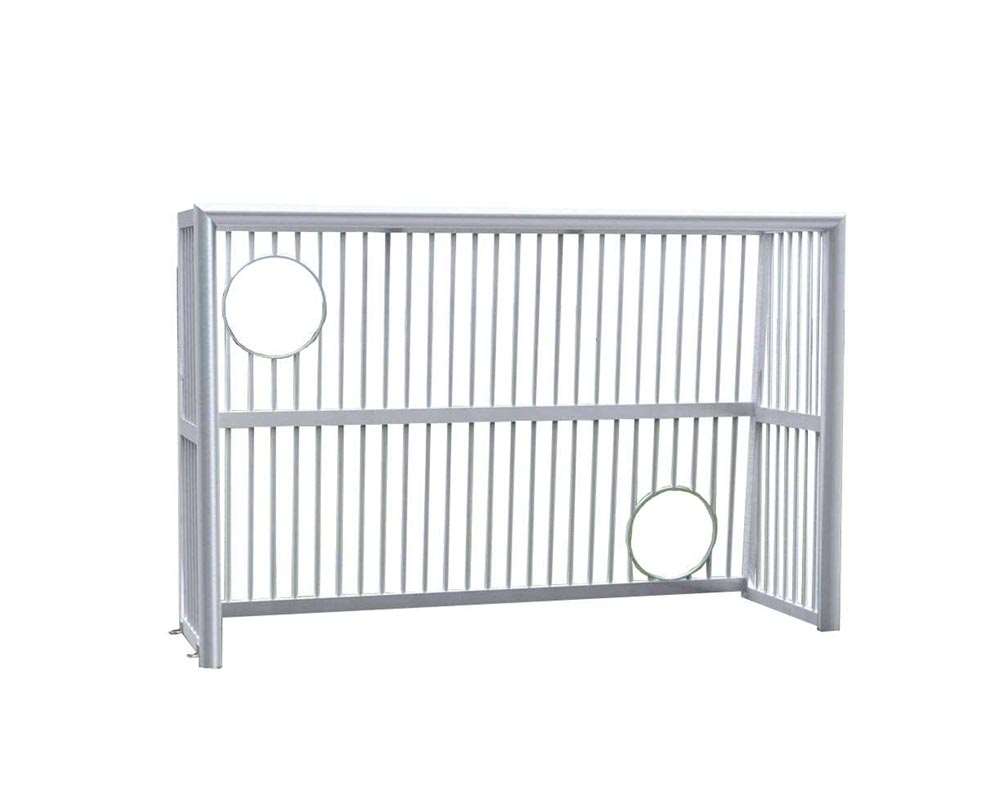 Bolzplatztor Aluminium mit Torwand